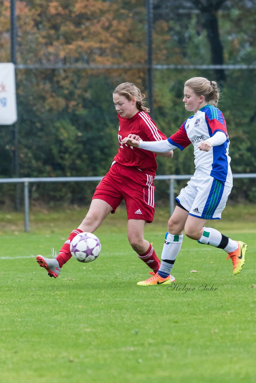 Bild 409 - B-Juniorinnen SV Henstedt Ulzburg - SV Wahlstedt : Ergebnis: 11:0